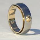 Goldring Yinyang-06