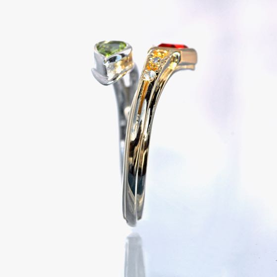 Ring Double-Snake