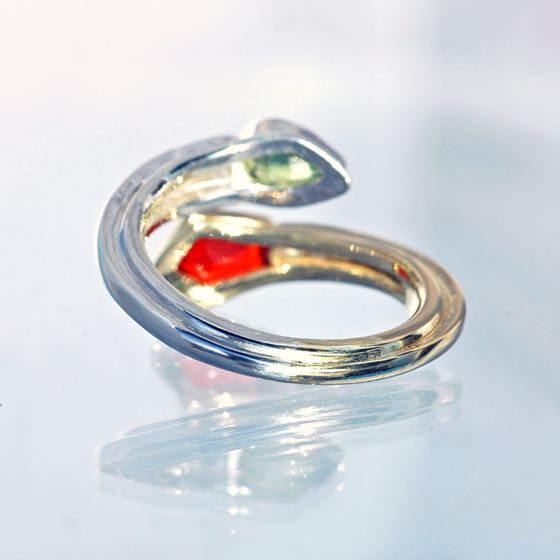 Ring Double-Snake